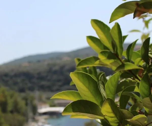 Rocka View Σπαρτοχώρι